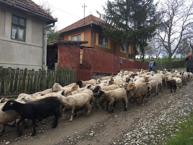 Húsvét Székelylengyelfalván 44